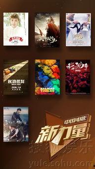 国产片精品,匠心独运，光影流年